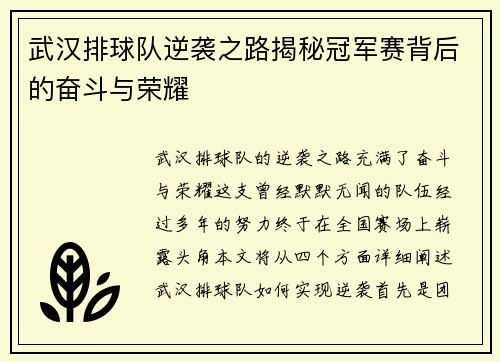 武汉排球队逆袭之路揭秘冠军赛背后的奋斗与荣耀