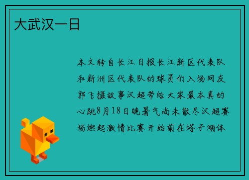 大武汉一日